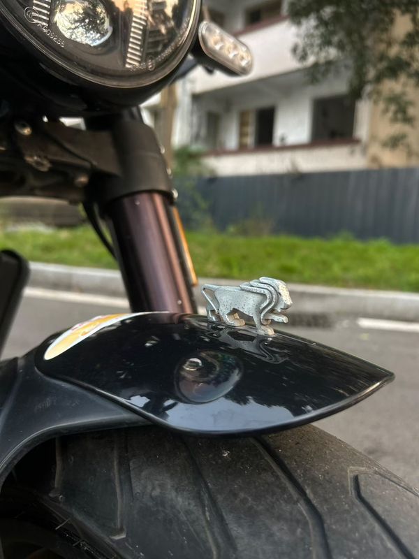 二手贝纳利幼狮 Leoncino 500