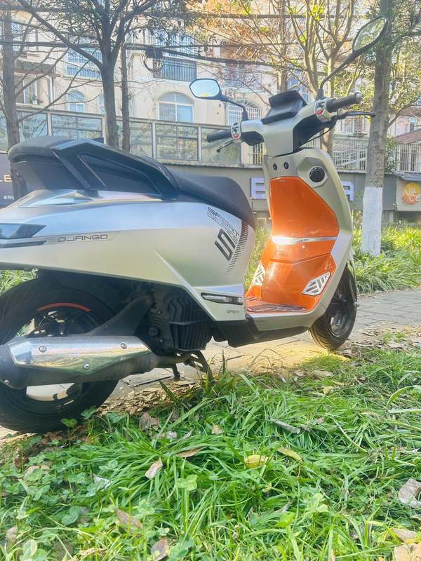 二手标致DJANGO EVO