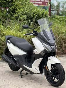 二手三阳Joymax F 300