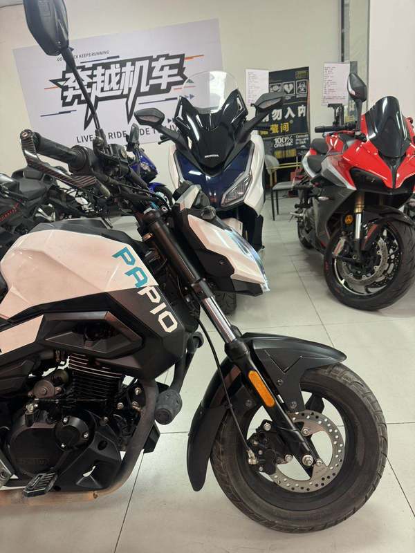 二手春风ST狒狒