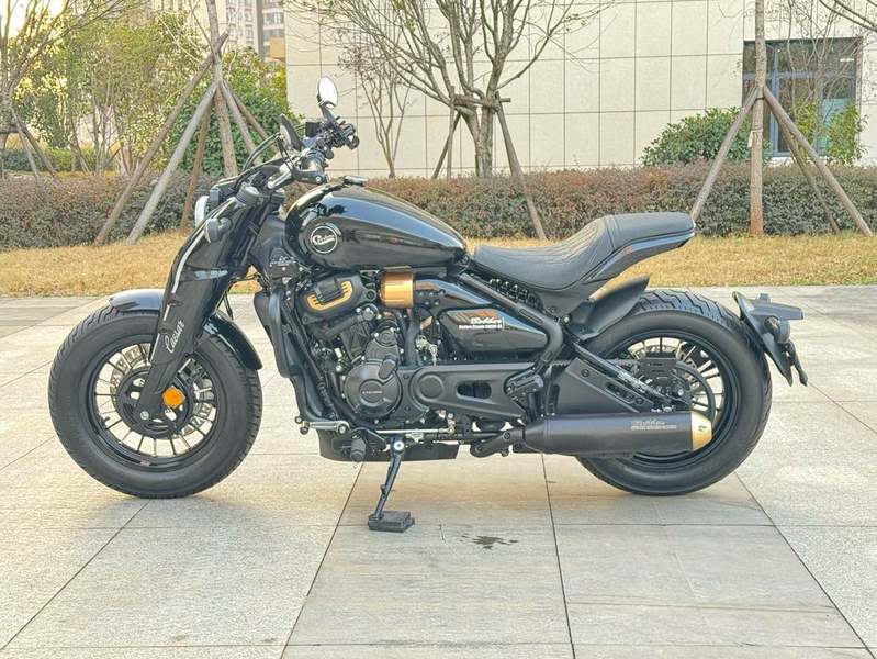 二手赛科龙RA600