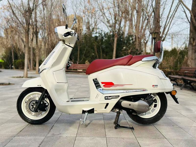 二手QJMOTOR阳光迪诺