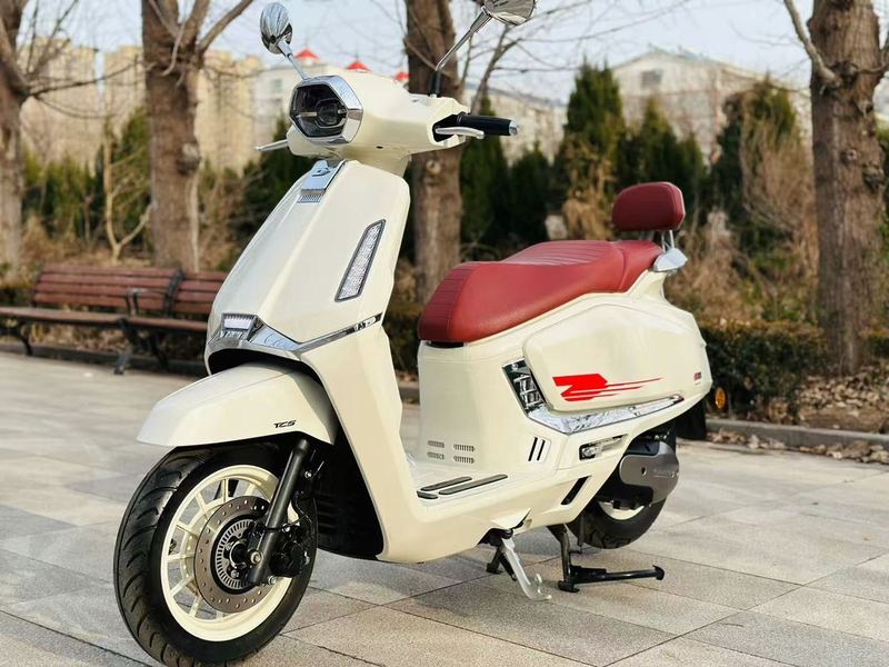 二手QJMOTOR阳光迪诺