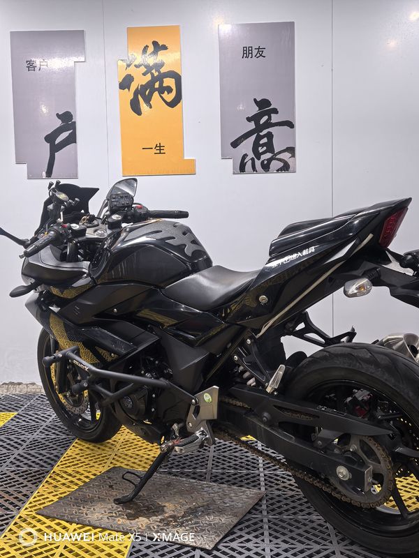 二手豪爵铃木GSX250R