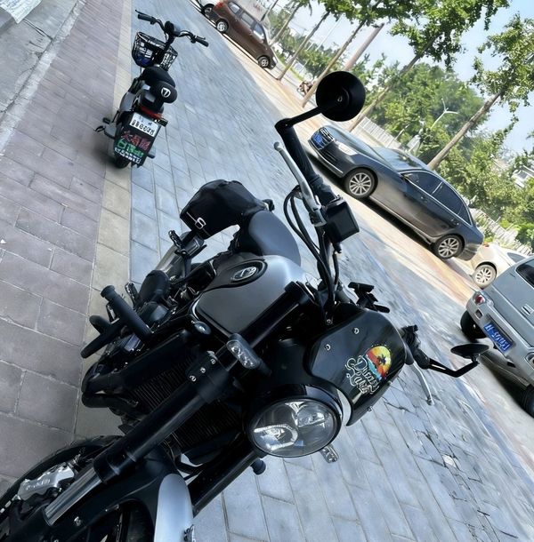 二手贝纳利幼狮 Leoncino 500