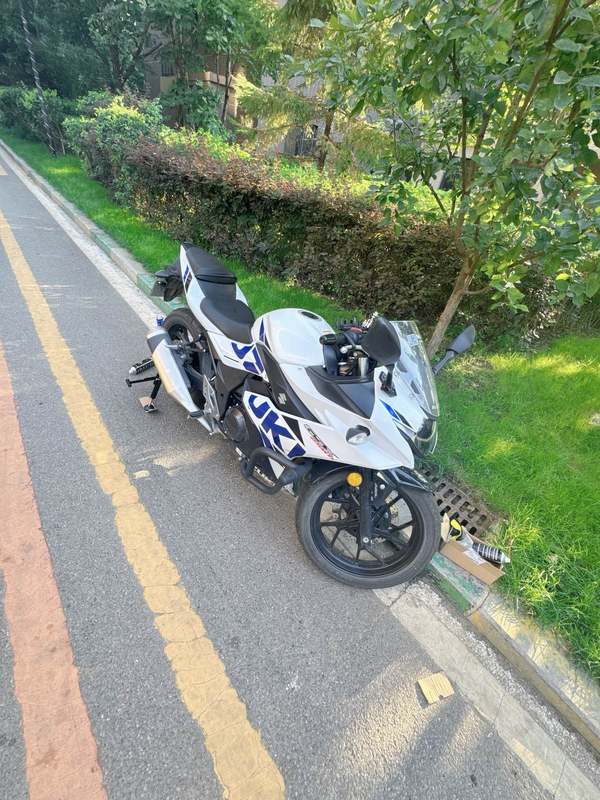 二手豪爵铃木GSX250R