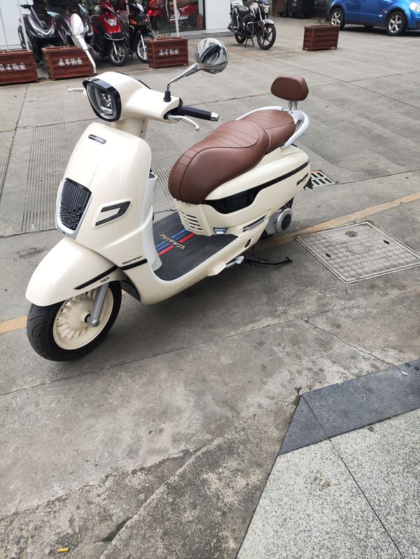 二手南方梦拉丽莎 飞戈