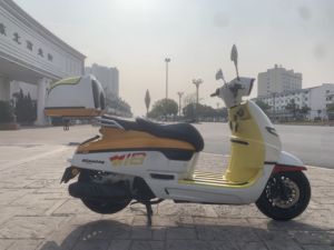 二手南方梦拉丽莎 飞戈