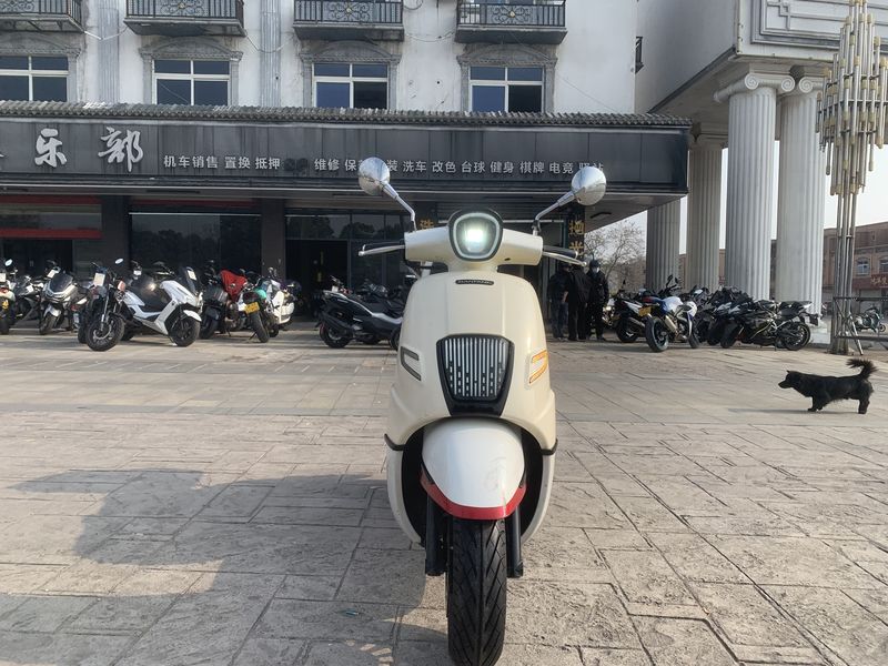 二手南方梦拉丽莎 飞戈