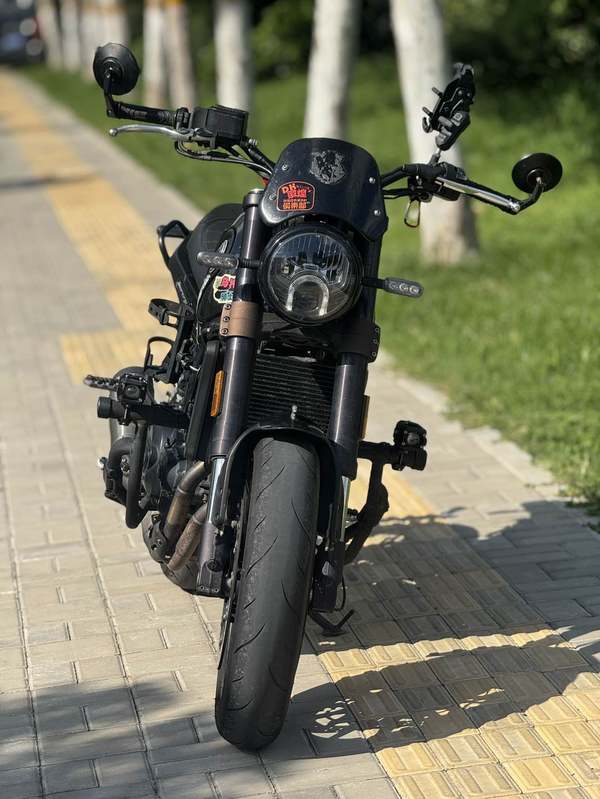 二手贝纳利幼狮 Leoncino 500