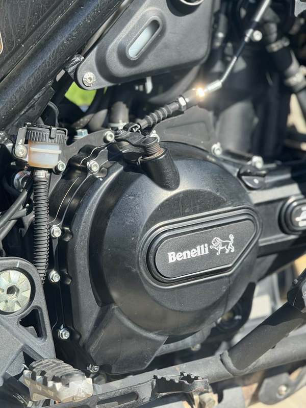 二手贝纳利幼狮 Leoncino 500