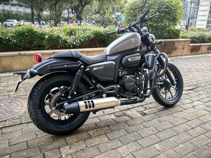 二手赛科龙RA250