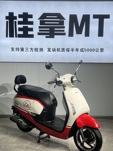 二手新大洲本田NS125LA