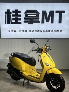 二手猎变小肥鹅125