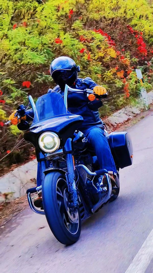 二手哈雷戴维森凌动滑翔 Sport Glide