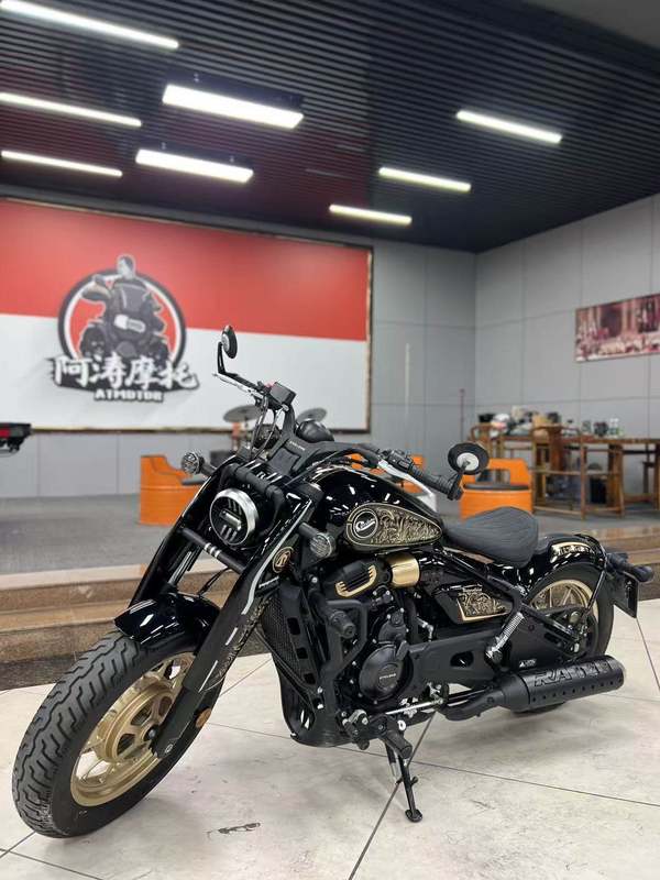 二手赛科龙RA600