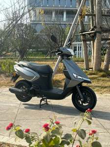 二手新大洲本田NS110L