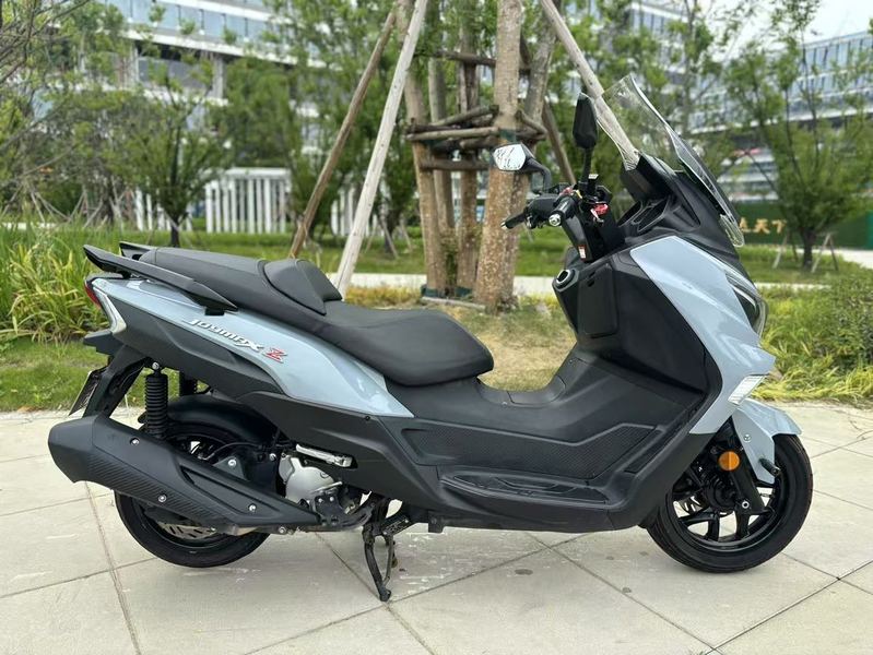 二手三阳Joymax Z 300