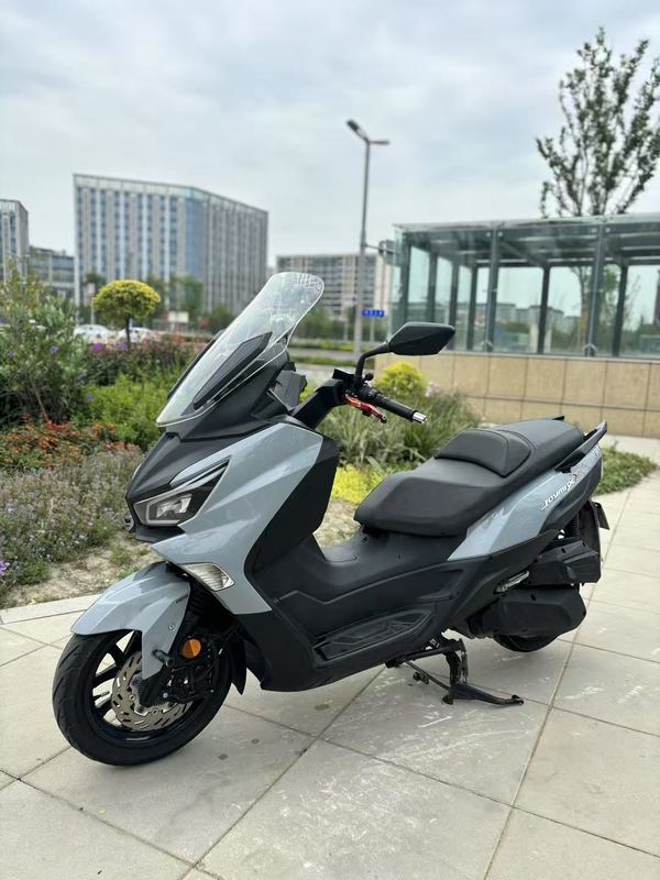 二手三阳Joymax Z 300