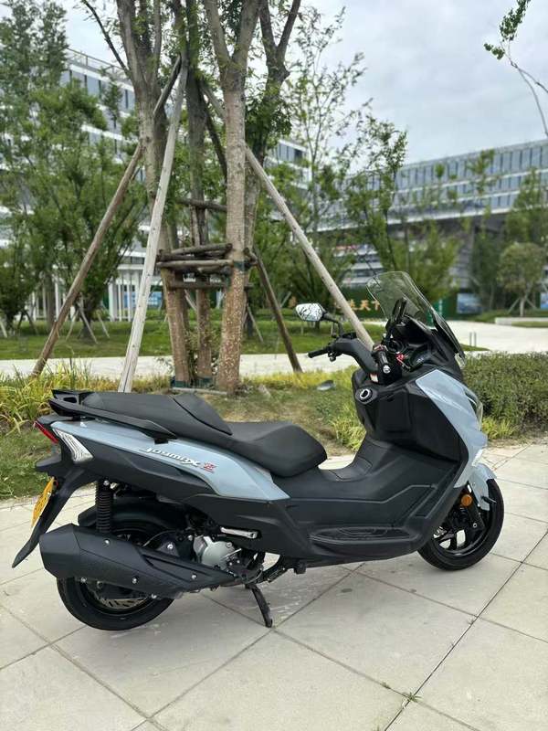 二手三阳Joymax Z 300