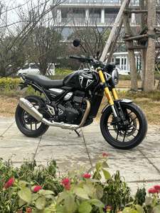 二手凯旋Speed 400