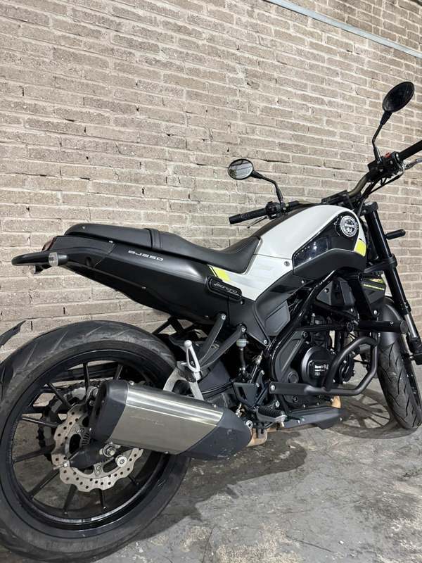 二手贝纳利幼狮 Leoncino 250