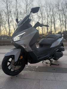 二手三阳Joymax Z 300