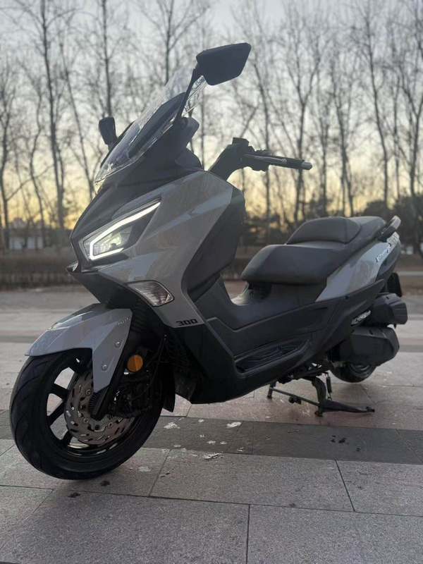 二手三阳Joymax Z 300