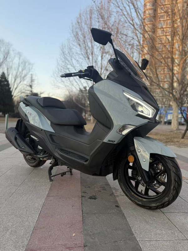 二手三阳Joymax Z 300