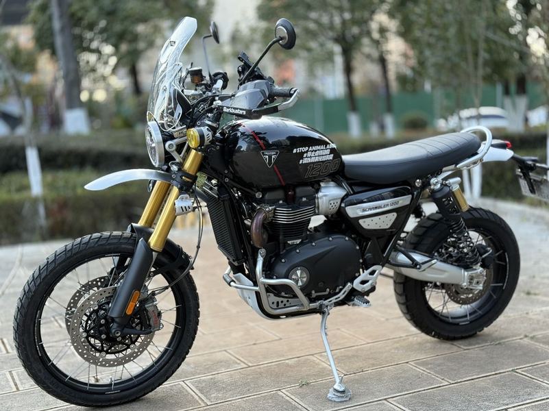 二手凯旋Scrambler 1200