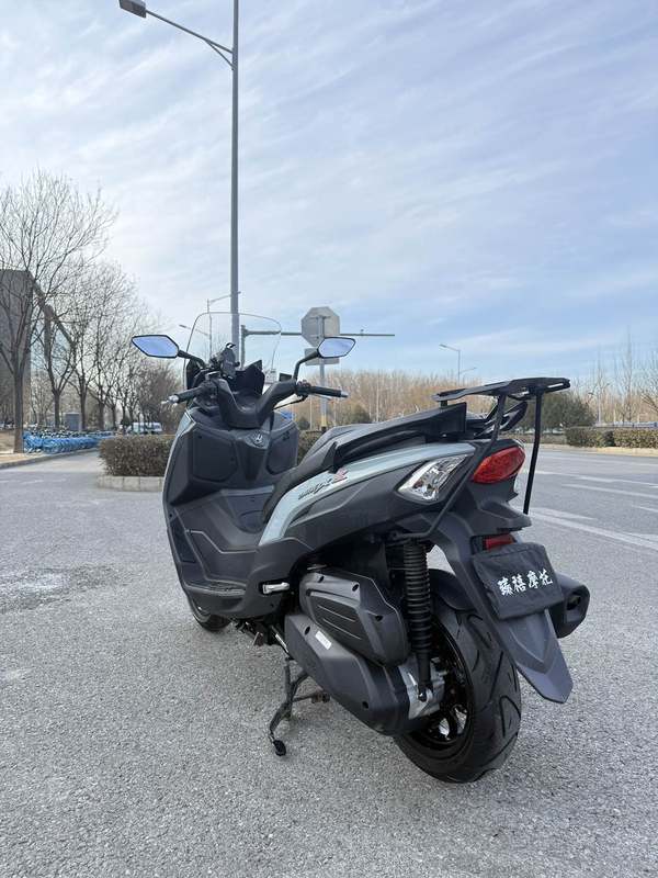 二手三阳Joymax Z 300