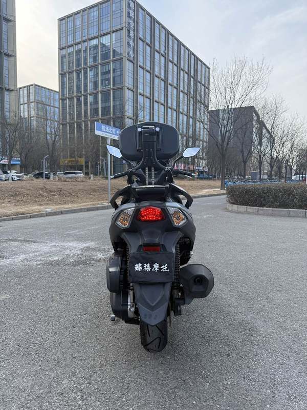 二手三阳Joymax Z 300