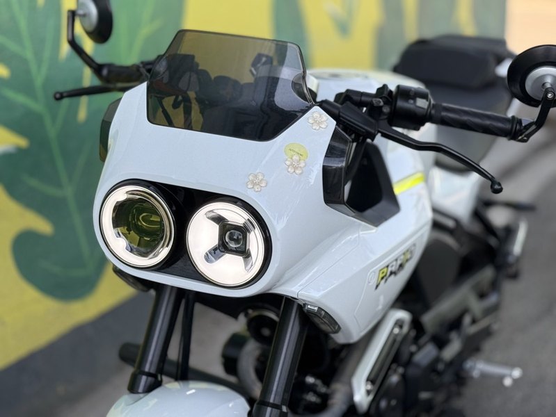 二手春风XO狒狒