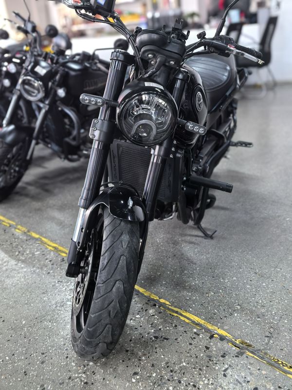 二手贝纳利幼狮 Leoncino 500