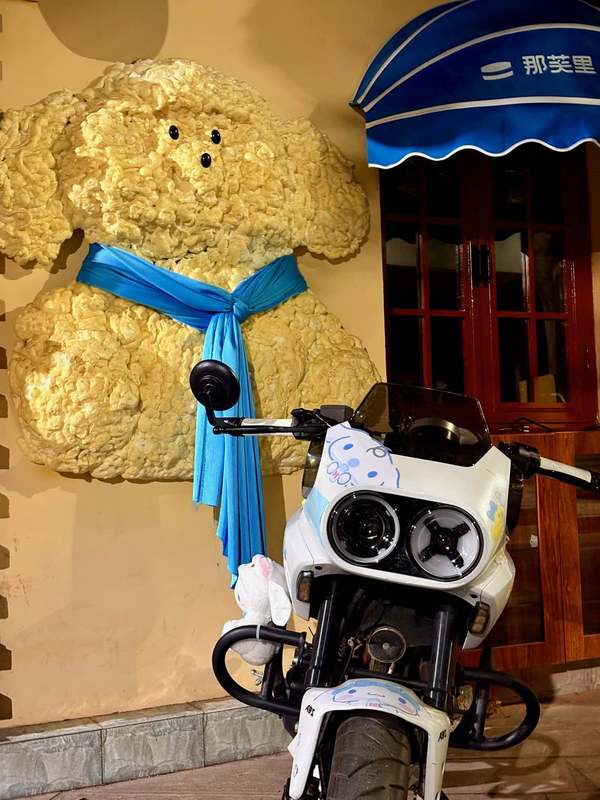 二手春风XO狒狒