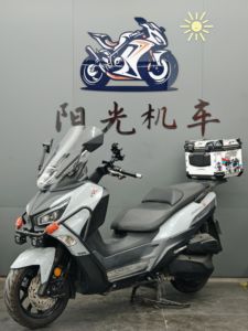二手三阳Joymax Z 300