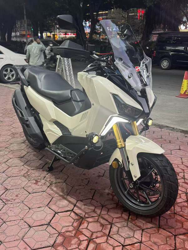 二手三阳剑齿虎 ADXTG