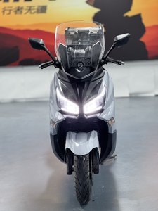 二手三阳Joymax Z 300