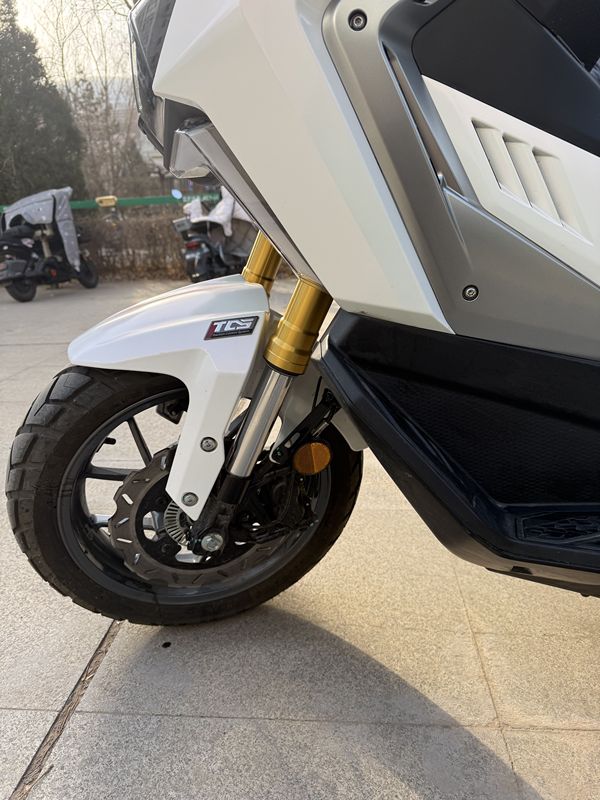 二手三阳剑齿虎 ADXTG