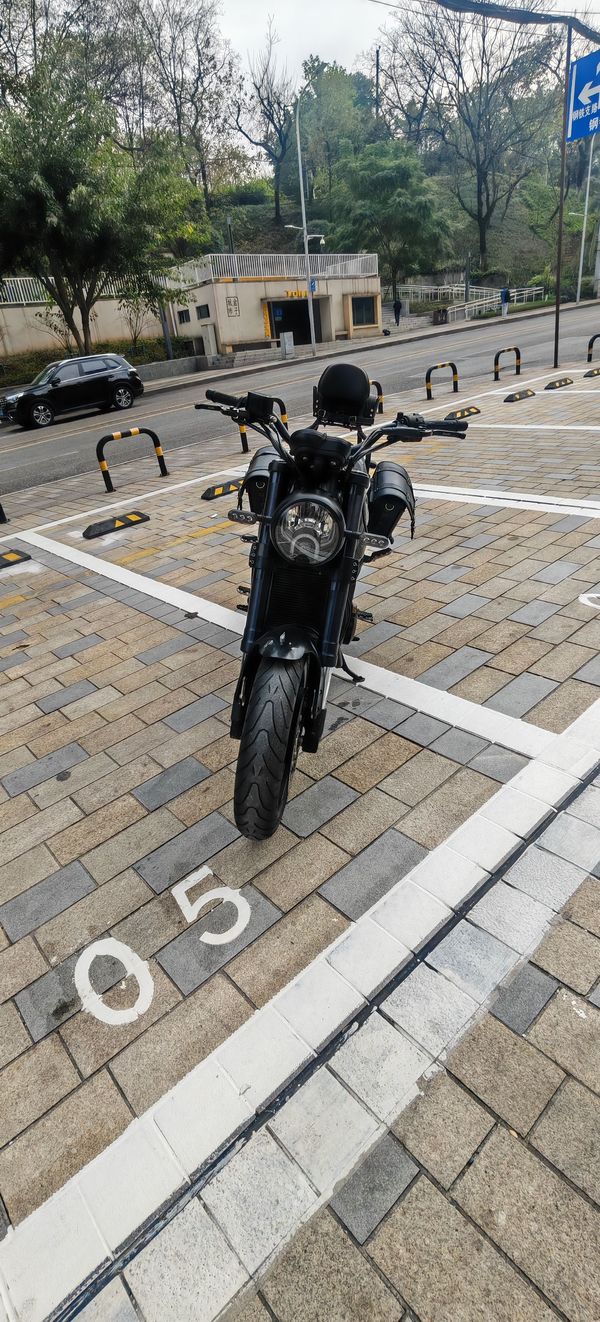 二手贝纳利幼狮 Leoncino 500