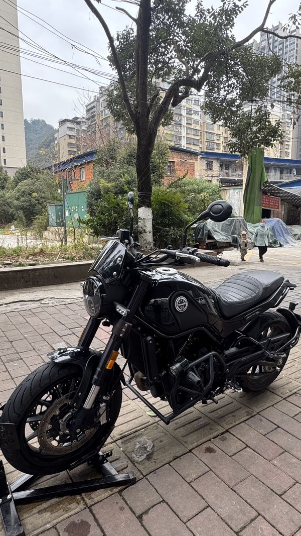 二手贝纳利幼狮 Leoncino 500