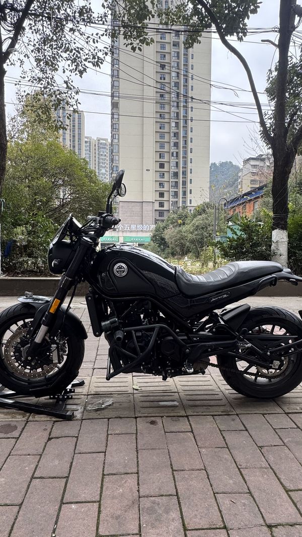 二手贝纳利幼狮 Leoncino 500