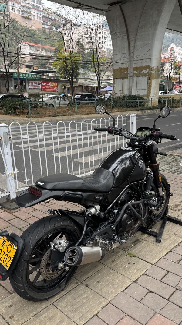 二手贝纳利幼狮 Leoncino 500