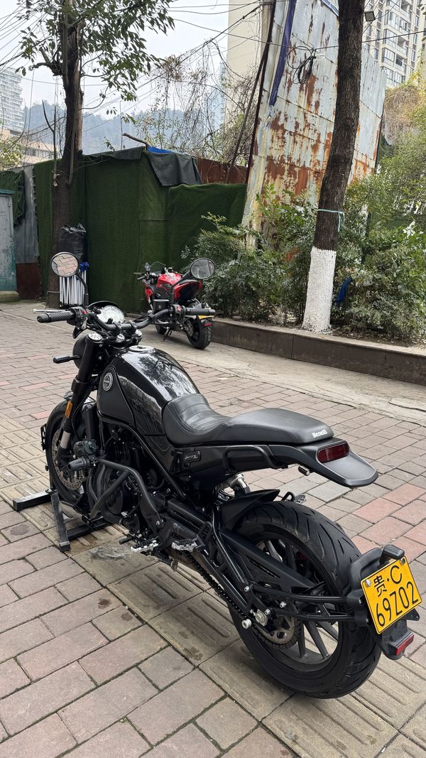 二手贝纳利幼狮 Leoncino 500