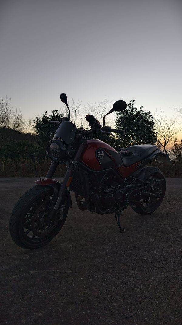 二手贝纳利幼狮 Leoncino 500