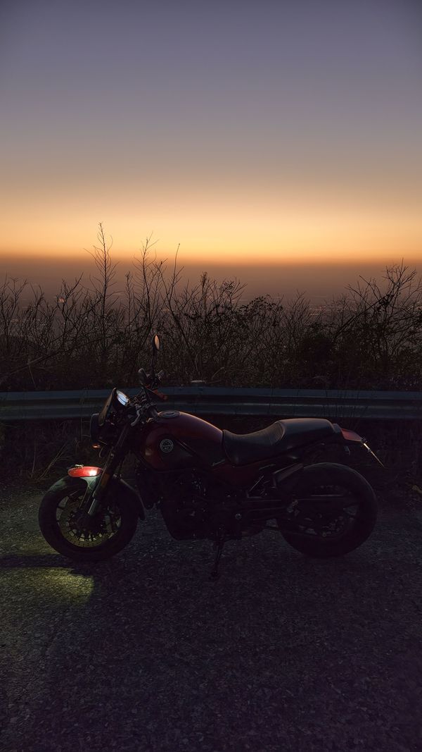 二手贝纳利幼狮 Leoncino 500