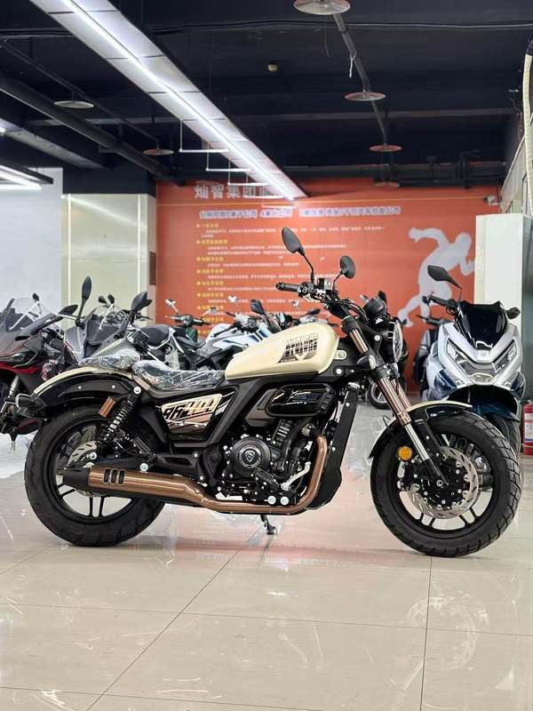 二手赛科龙RA401