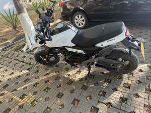 二手春风ST狒狒