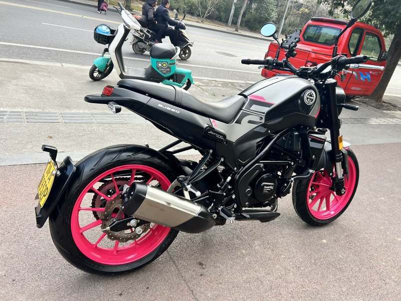 二手贝纳利幼狮 Leoncino 250