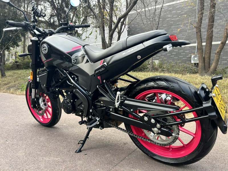 二手贝纳利幼狮 Leoncino 250